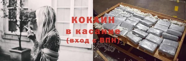 ГАЛЛЮЦИНОГЕННЫЕ ГРИБЫ Арсеньев