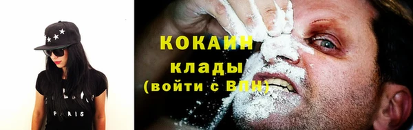 ГАЛЛЮЦИНОГЕННЫЕ ГРИБЫ Арсеньев