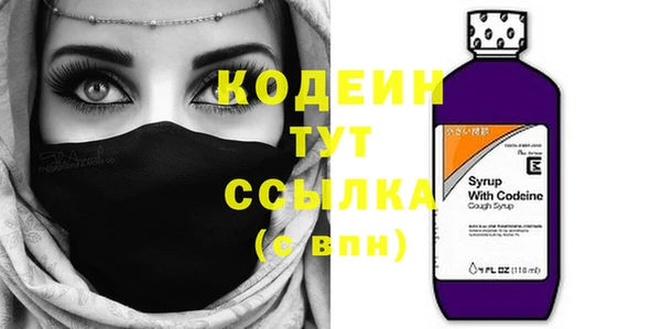 ГАЛЛЮЦИНОГЕННЫЕ ГРИБЫ Арсеньев