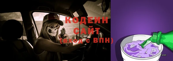 ГАЛЛЮЦИНОГЕННЫЕ ГРИБЫ Арсеньев